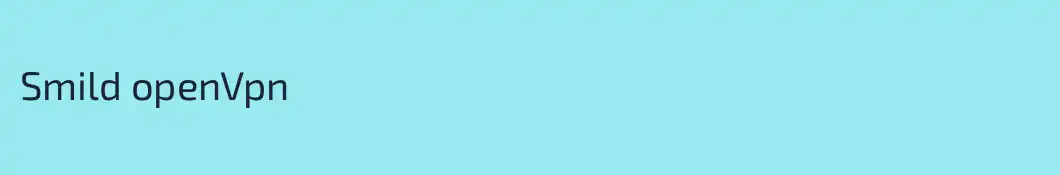 Smild openVpn